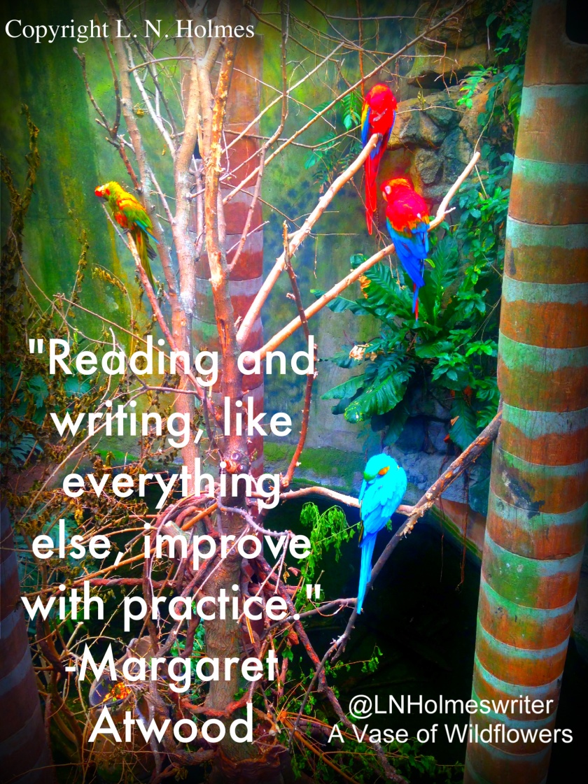 parrot, mccaw, reading, writing, colorful birds, Margaret Atwood, practice, quotes