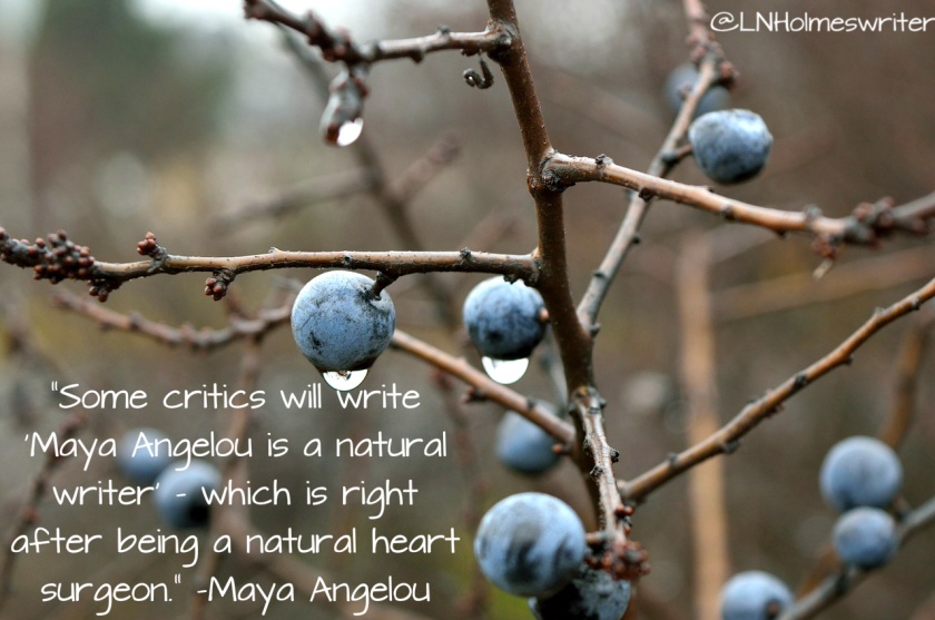 Maya Angelou, writing, reading, quote, advice, The Monday Post